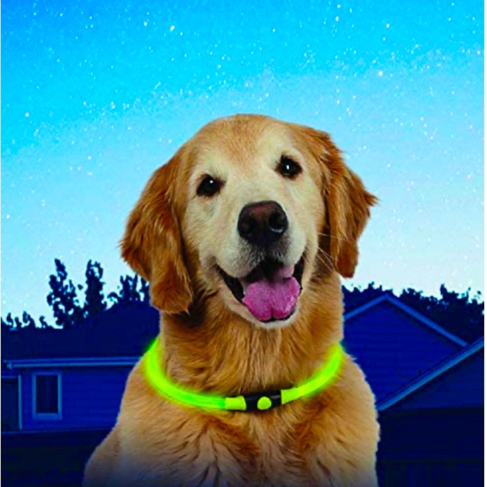 🆕LED Pet Safety Necklace; Glow in the Dark neon green Pet Safety Necklace - Picture 10 of 16